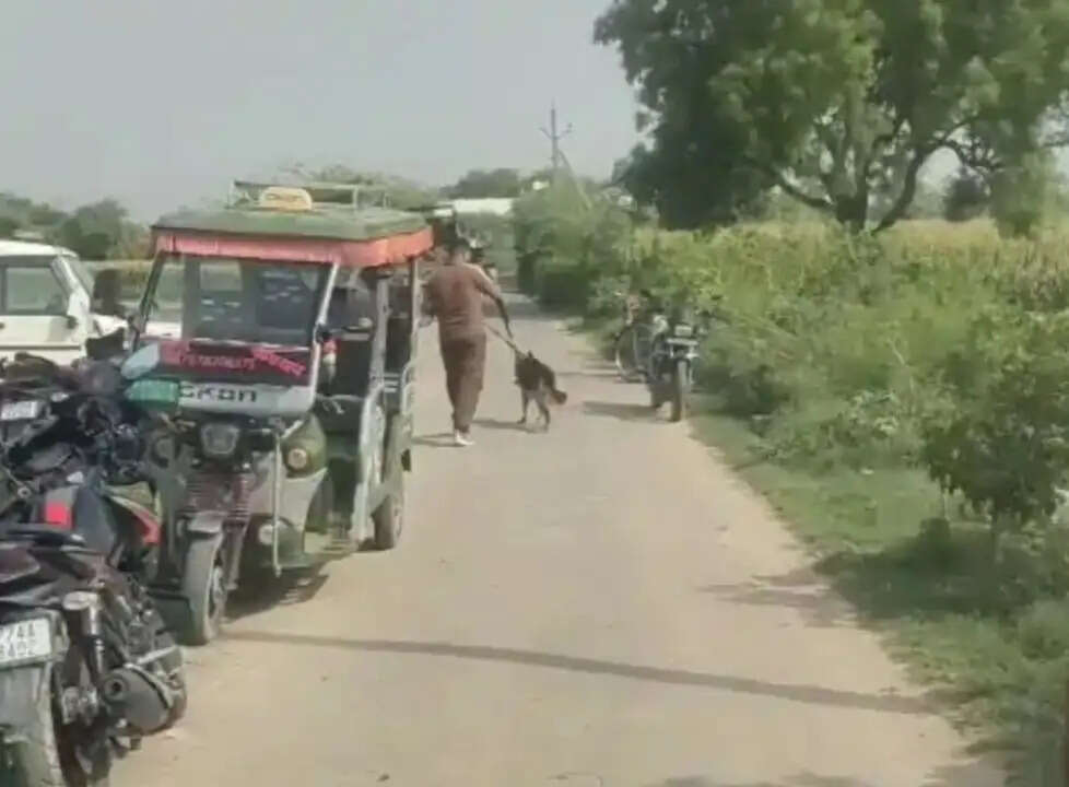 कन्नौज : घर के बाहर सो रहे बुजुर्ग की धारदार हथियार से हमला कर हत्या