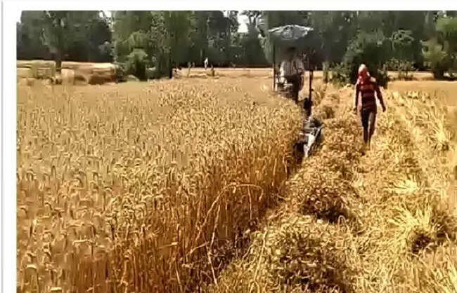 आधुनिक कृषि यंत्रों ने बदली किसान बेनी सिंह की तकदीर