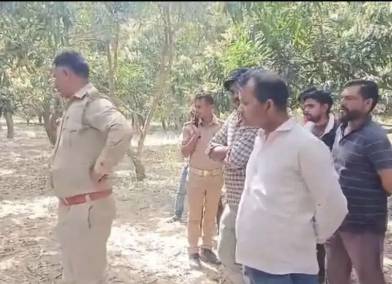 आम के बाग में फांसी पर लटका मिला अज्ञात युवक का शव