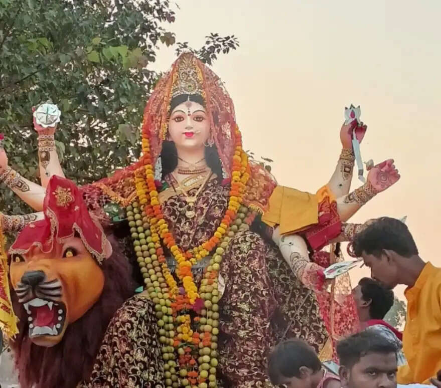 खारून नदी में विसर्जन पर प्रतिबंध