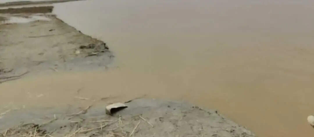 कोसी में ‘लाल पानी’ की एंट्री,किसानों की फसलों पर असर की आशंका