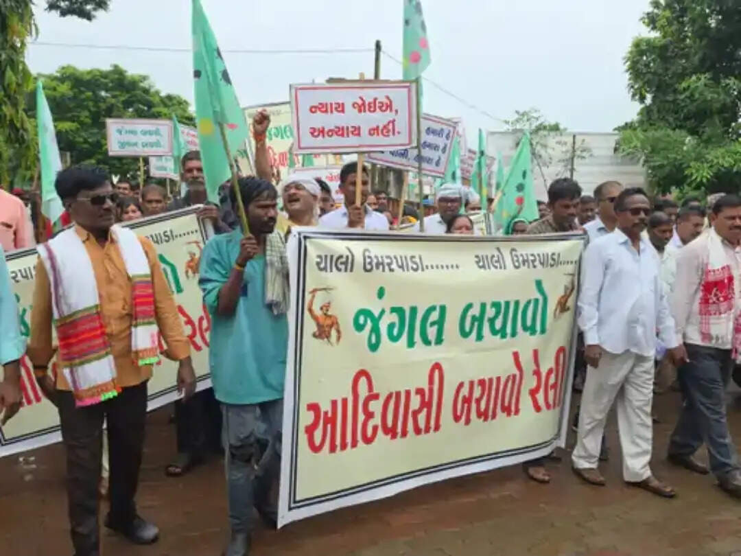 जंगल की जमीन पर कब्जे को लेकर आदिवासियों में आक्रोश, 2 हजार लोगों ने निकाली विरोध रैली