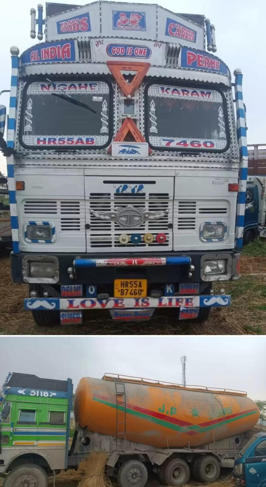 सीमेंट बल्कर टैंकर में गो-तस्करी प्रयास विफल, 15 पशु मुक्त करवाए