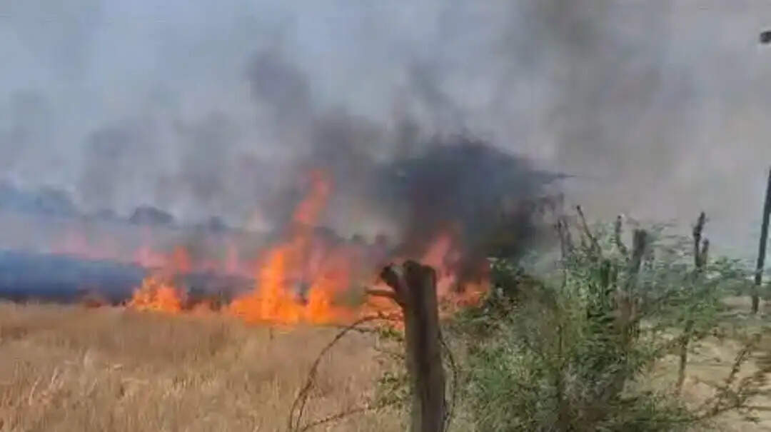 हार्वेस्टर से निकली चिंगारी से 30 बीघा की फसल खाक