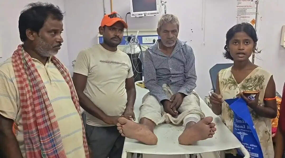 नाथनगर के घोषी टोला में लंगूरों का आतंक, आधा दर्जन से अधिक लोगों को काटकर किया जख्मी