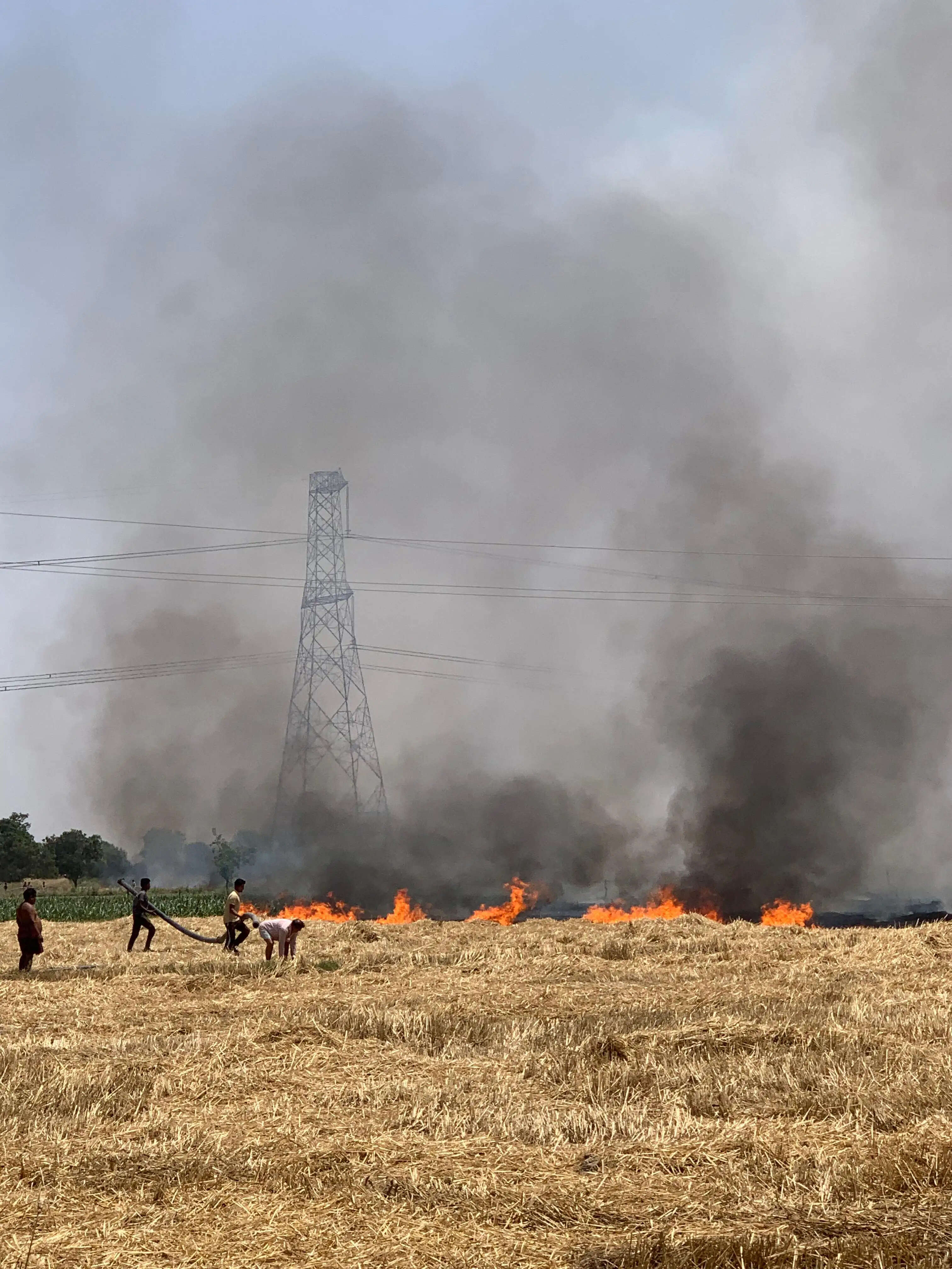 औरैया में भीषण अग्निकांड: 10 बीघा पराली जलकर राख, किसानों को भारी नुकसान