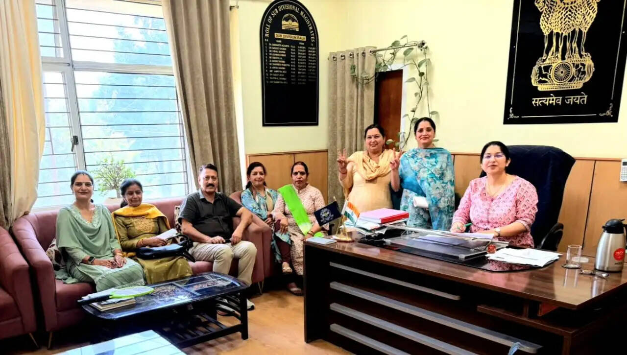 मंडी में करनेहड़ा व गलमा पंचायतों में पांच-पांच वार्डों के महिलाएं संभालेगी मतदान केंद्रों की कमान ।