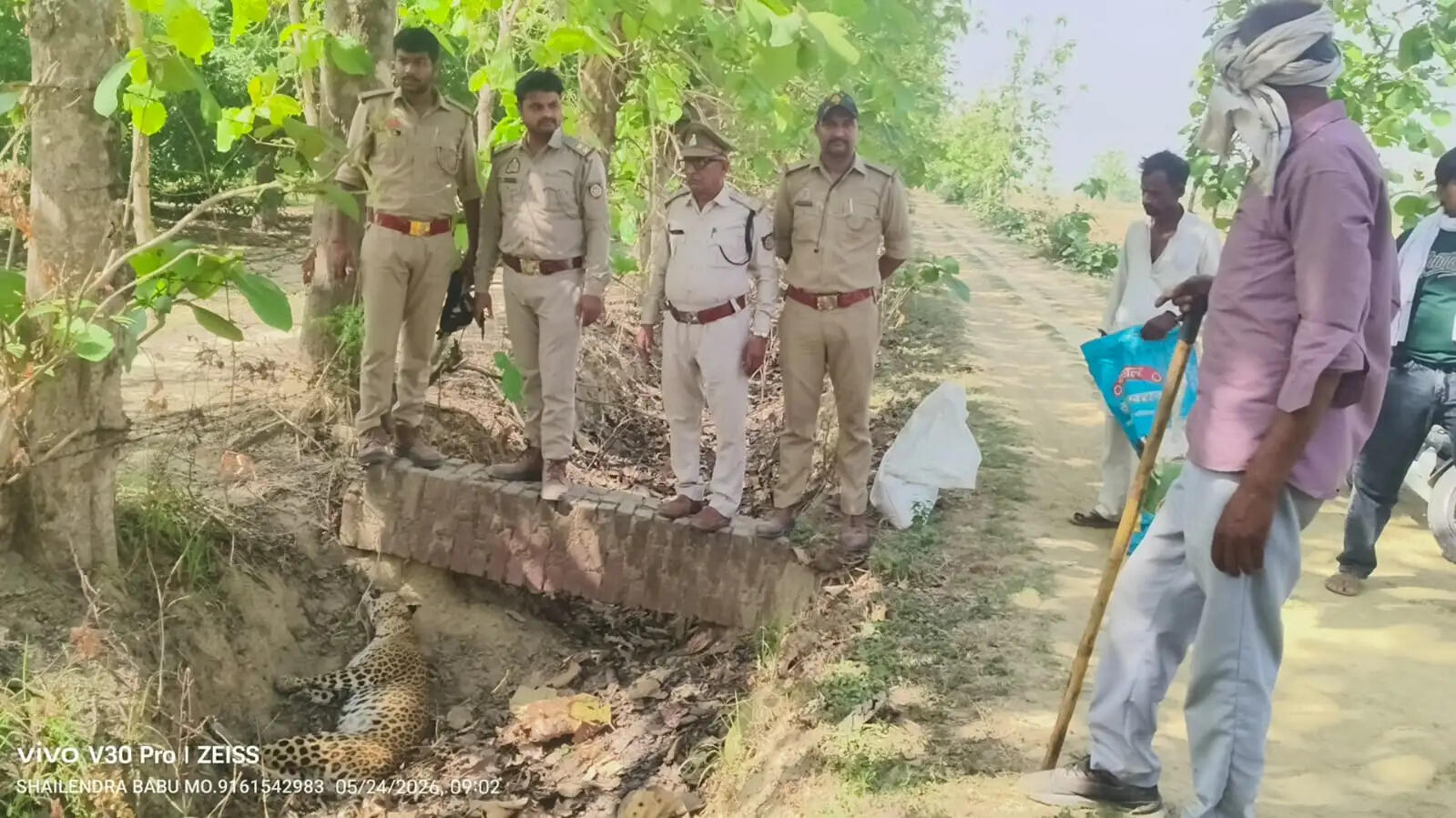 जंगल से भटककर गांव पहुंची मादा तेंदुए की मौत, जांच में जुटा वन विभाग