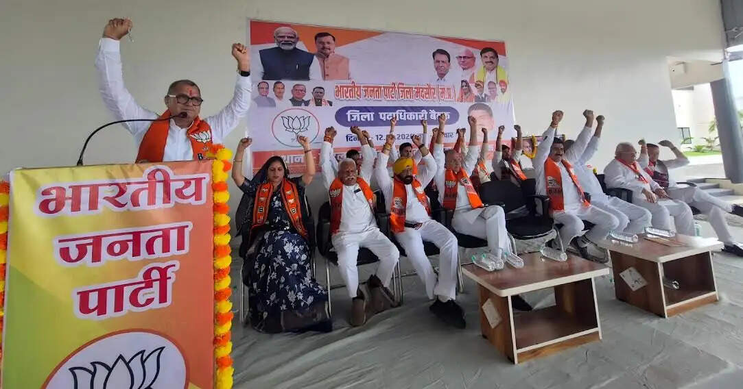 मंदसौरः भाजपा की मासिक कामकाजी बैठक संपन्न