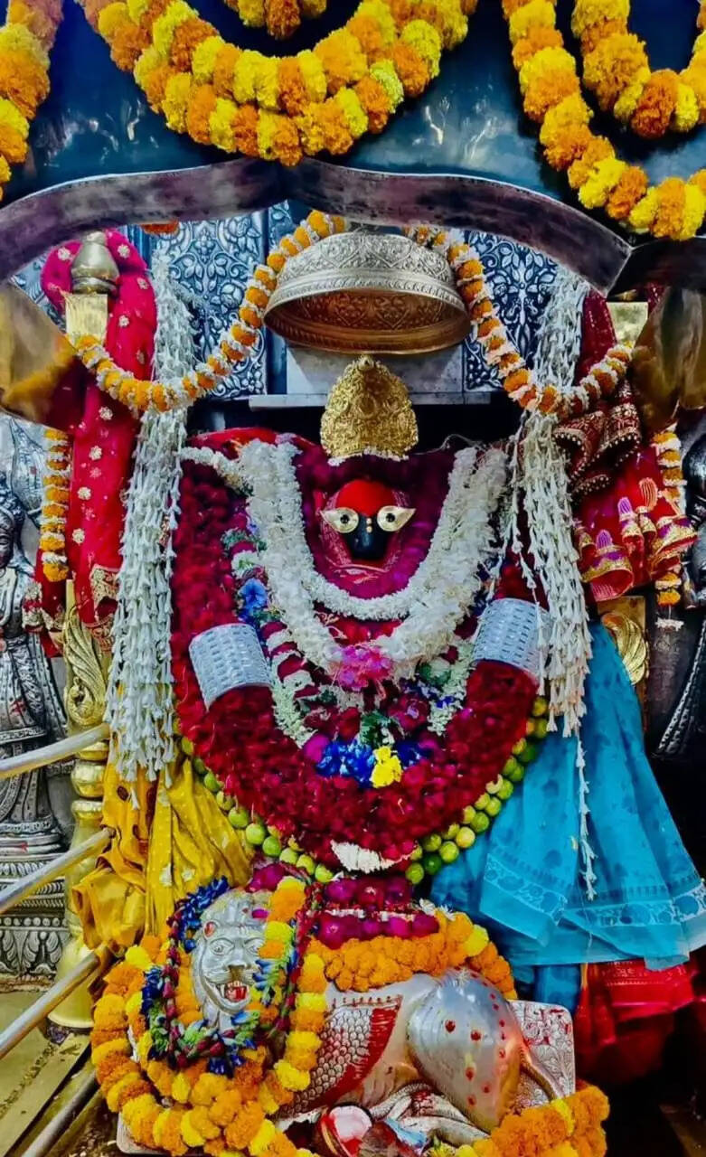 पंचमी पर विंध्यधाम में गूंजे जयकारे, स्कंदमाता के दर्शन से भक्त हुए भाव-विभोर