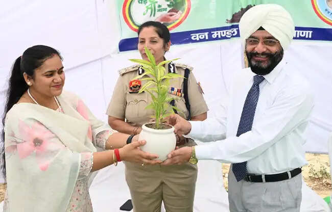 सोनीपत में &nbsp;विश्व पर्यावरण दिवस पर पौधारोपण और संरक्षण का संदेश