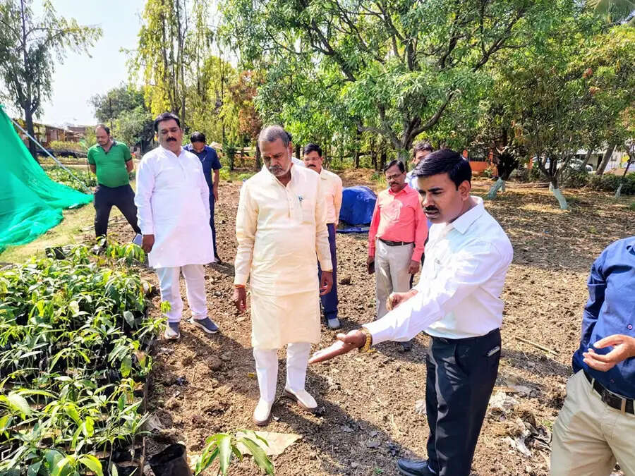 शासकीय नर्सरियों को बनाया जायेगा आदर्श नर्सरी : मंत्री कुशवाह