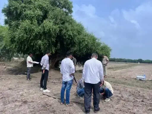 पेड़ से लटका मिला सप्ताहभर पुराना शव, पहचान में जुटी पुलिस