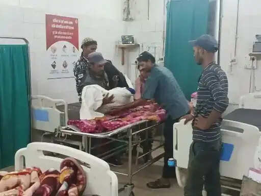 अनूपपुर: सांप के डसने से युवक की मौत, झाड़-फूंक और ले जाने में देरी से बिगड़े थे हालत