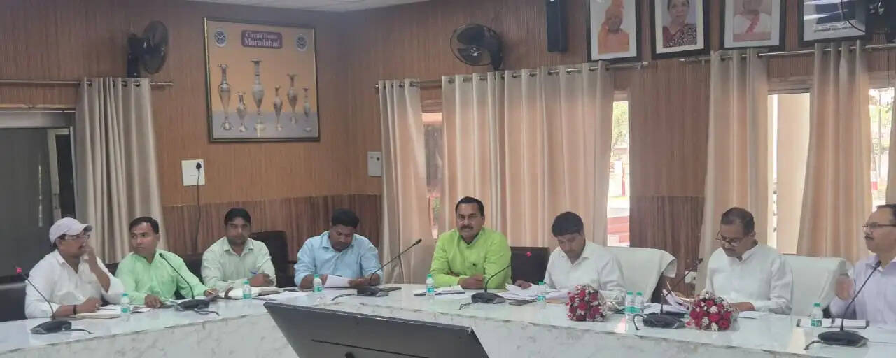 कुंदरकी विधानसभा में विद्युत आपूर्ति को लेकर लापरवाही बर्दाश्त नहीं : ठाकुर रामवीर सिंह