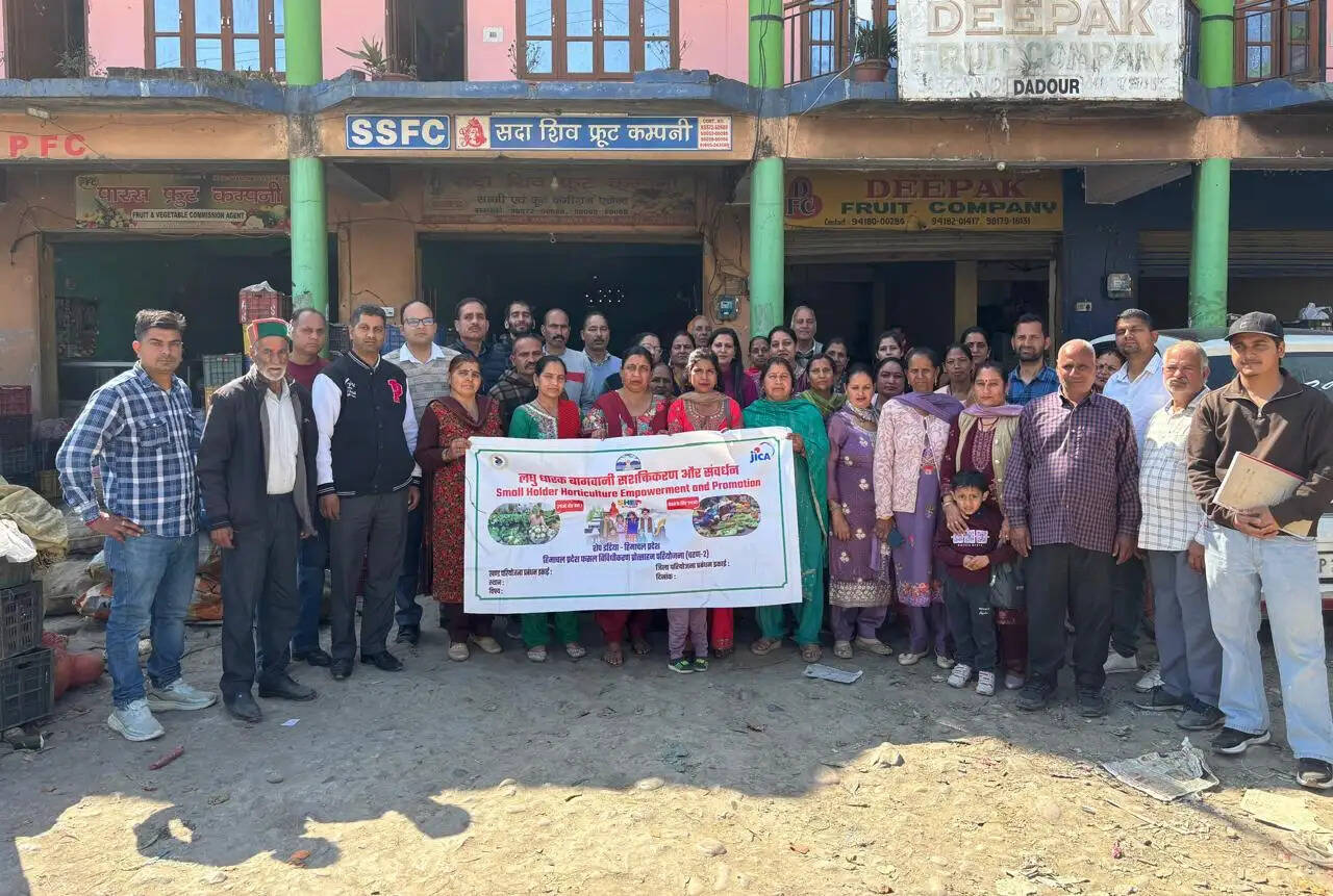 मंडी में एसएचईपी पद्धति के तहत बाजार सर्वेक्षण आयोजित