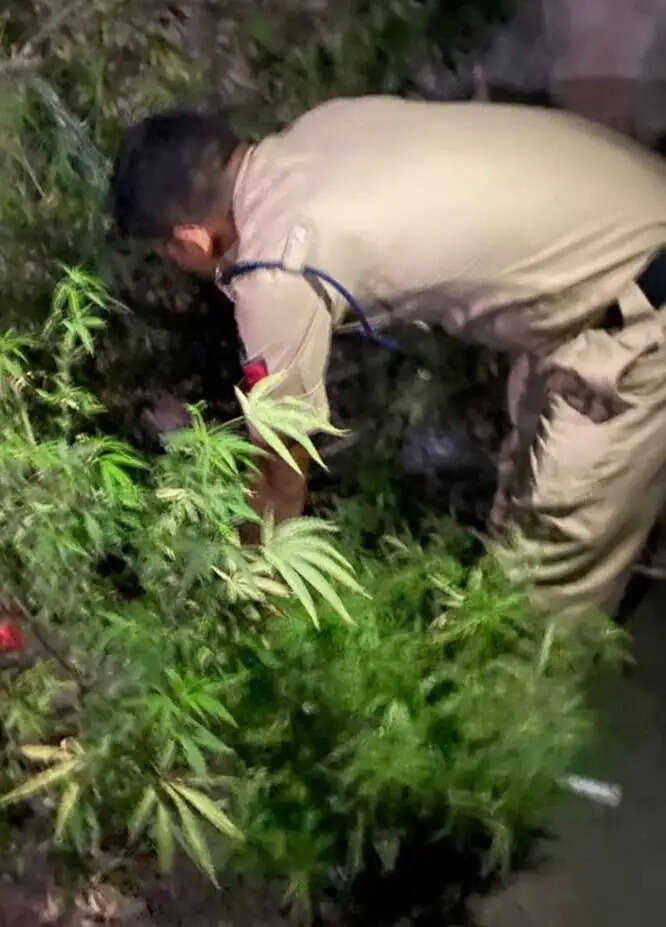 सोशल मीडिया-समाचार पत्रों पर प्रसारित भ्रामक खबर पर वैधानिक कार्रवाई की जाएगी
