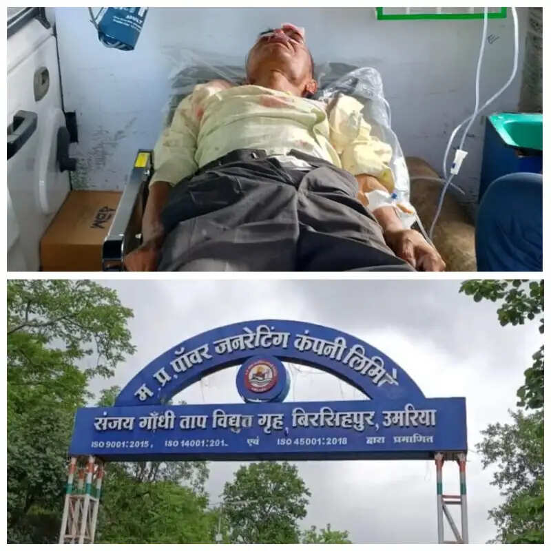 संजय गांधी ताप विद्युत केंद्र में मरम्मत कार्य के दौरान ठेका मजदूर घायल, शहडोल रेफर