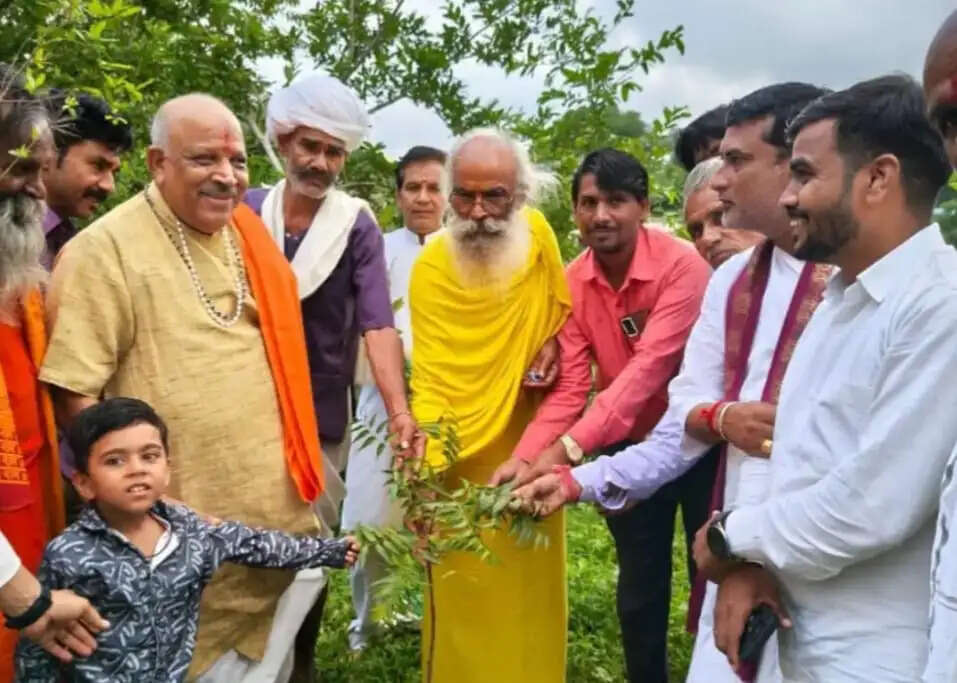 राजगढ़ःगौ शरण मंडल ने 12वें वर्ष भी किया पौधारोपण, 50 से अधिक प्रजातियों के पौधे रोपे