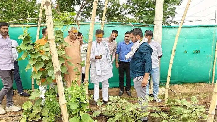 भवसागर से पार उतारती है श्रीराम कथा : उप मुख्यमंत्री शुक्ल