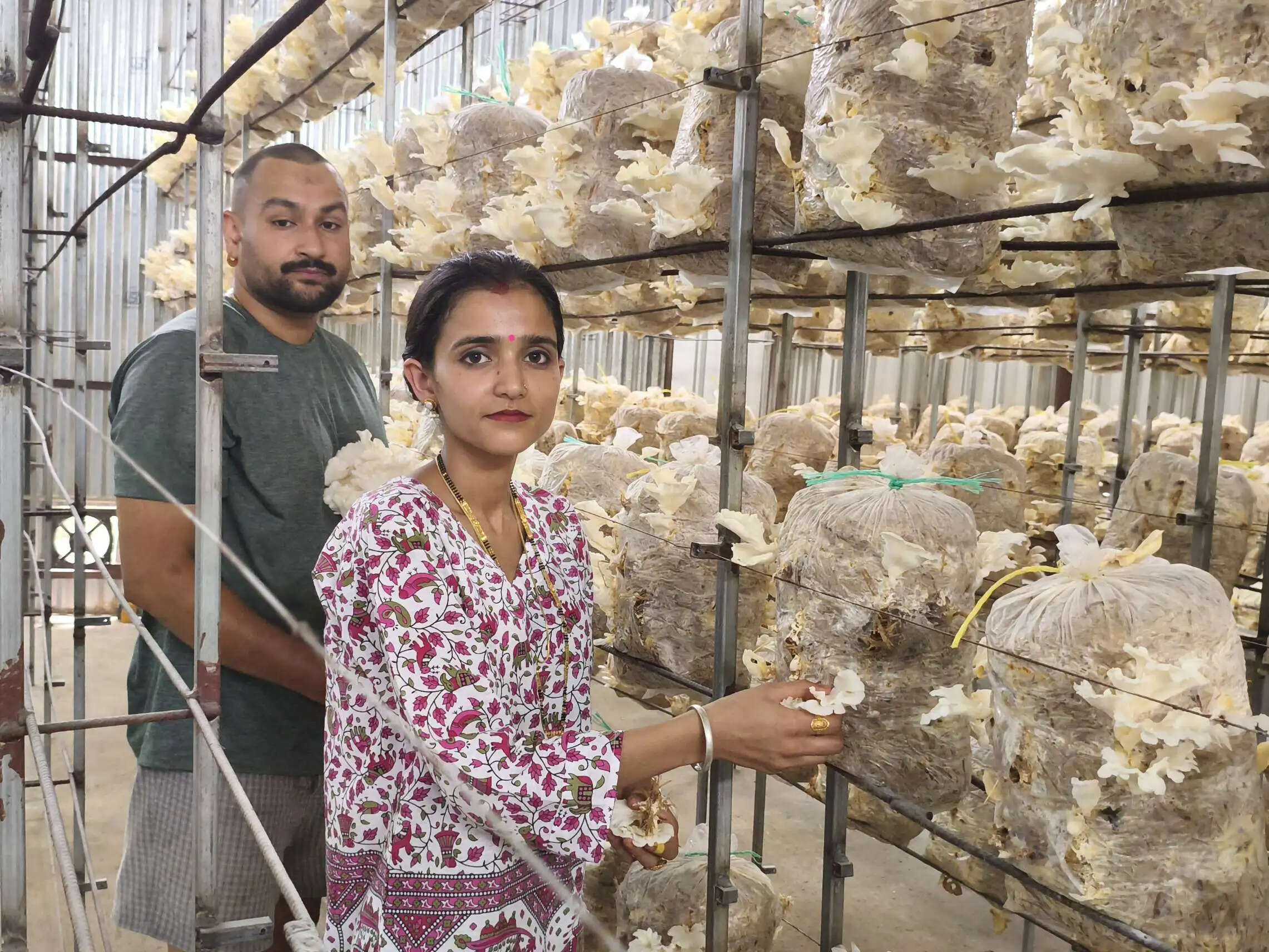 मशरूम उत्पादन ने बदली अंकित की राह, हर माह 20 क्विंटल मशरूम की बिक्री