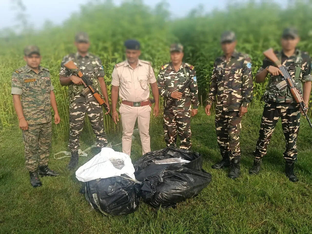 एसएसबी 56वीं बटालियन की टीम ने तीन अलग अलग स्थानों पर छापेमारी कर 106.5 किलो गांजा किया जब्त