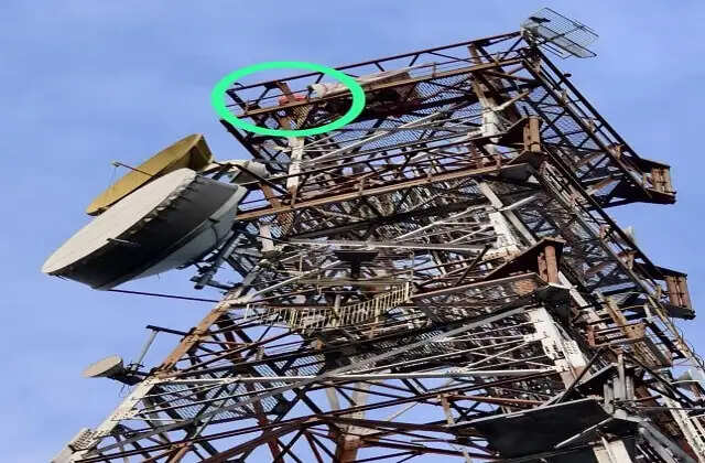 मोबाइल टावर पर चढ़ा व्यक्ति, मचा हड़कंप