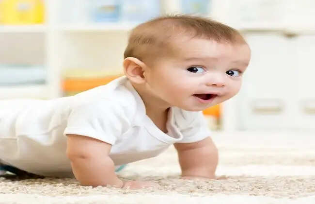 जंगल में मिली नवजात बच्ची, गृहिणी ने बचाई जान