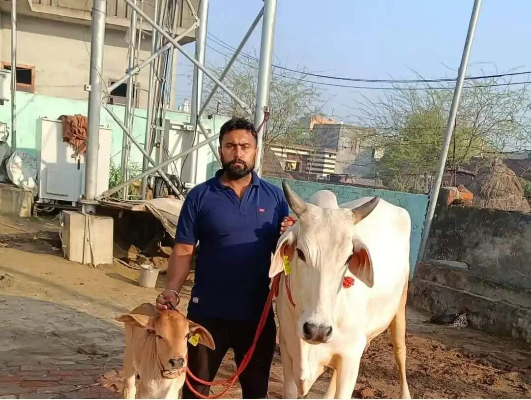 कैथल की गाय यशाेदा ने बनाया दूध देने का रिकार्ड