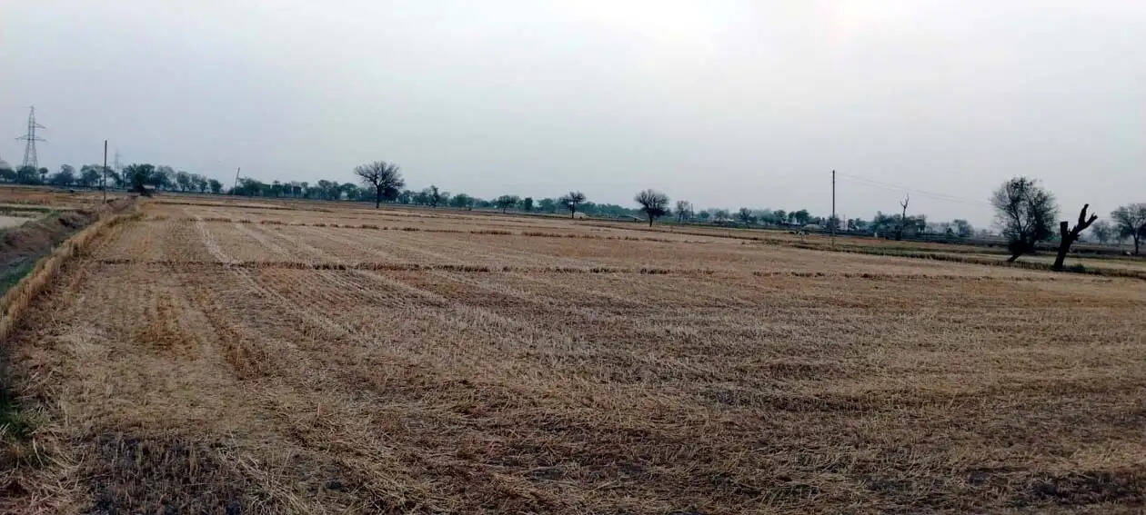 हिसार : बदले मौसम के साथ ही प्रदेश के तापमान में आई गिरावट