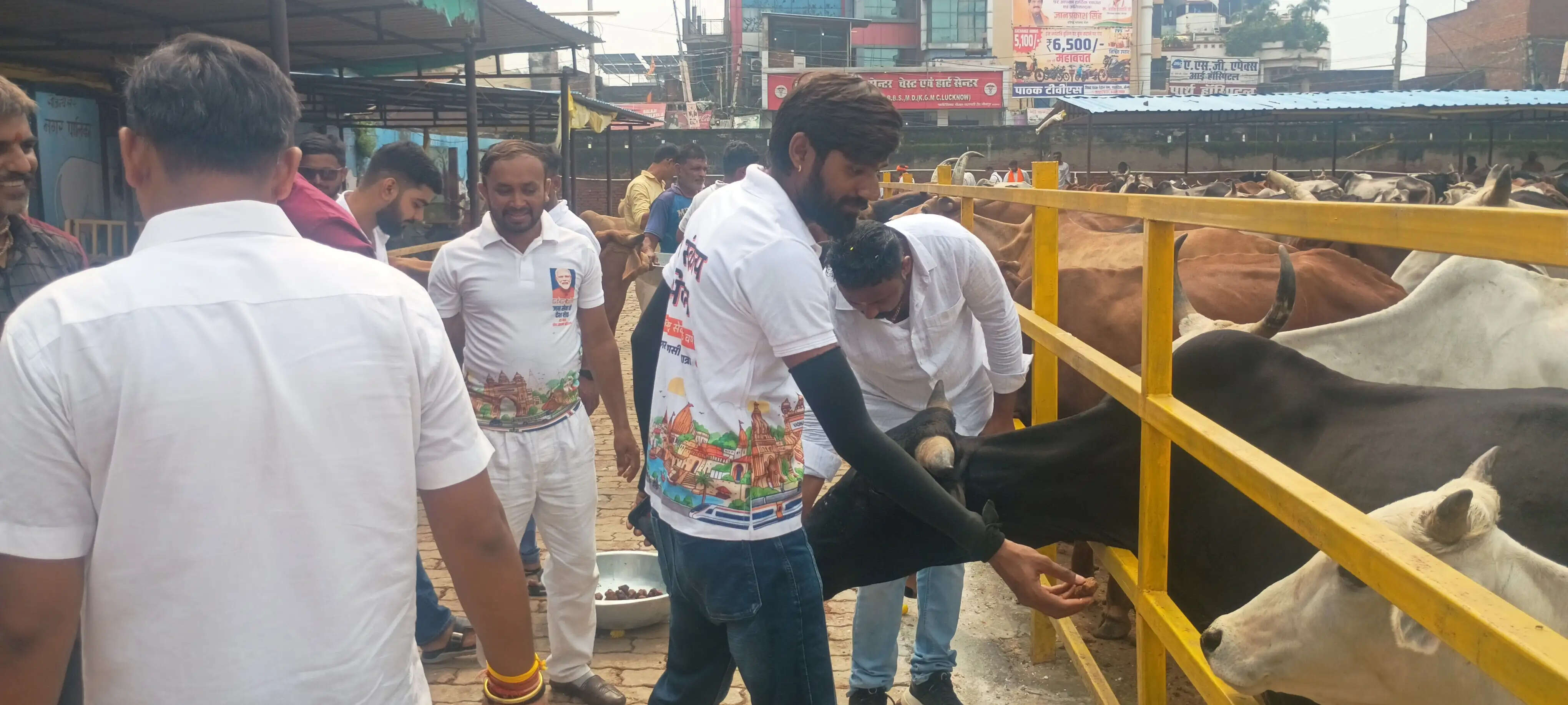 सेवा संकल्प यात्रा जौनपुर पहुंची, गौशाला में गायों को गुड़ खिलाकर और चारा परोसकर किया गया सेवा कार्य