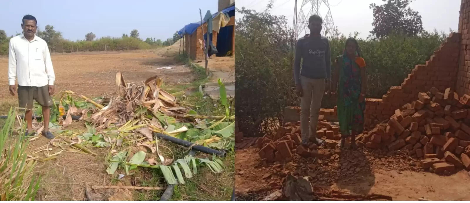 अनूपपुर: हाथी की घुसपैठ से परेशान ग्रामीण, रात में जंगल से निकल फसलों को बना रहे आहार