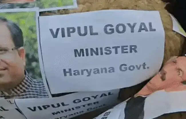 सोनीपत: सफाई कर्मचारियों ने भेड़ों पर मंत्रियों के पोस्टर लगाकर निकाली बारात
