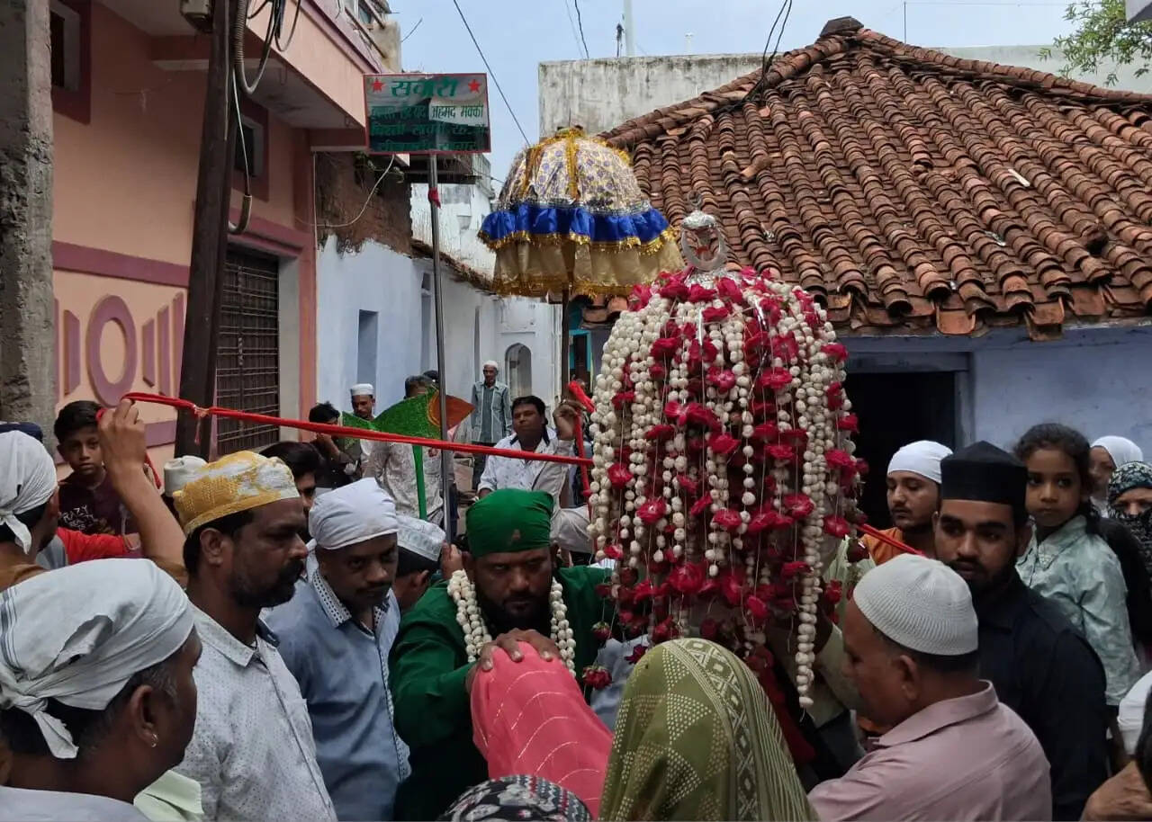 अमन-चैन और भाईचारे का संदेश देती हुई कर्बला पहुंची जामा कॉम्प्लेक्स वाले बाबा की सवारी