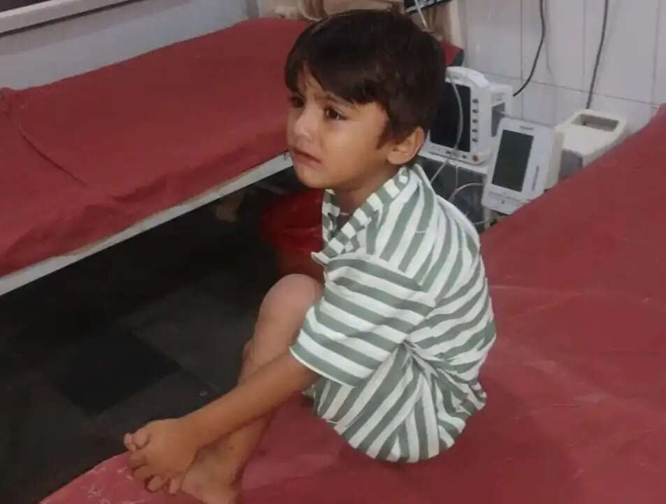 घर के बाहर खेल रहे बच्चे को सर्प ने डंसा