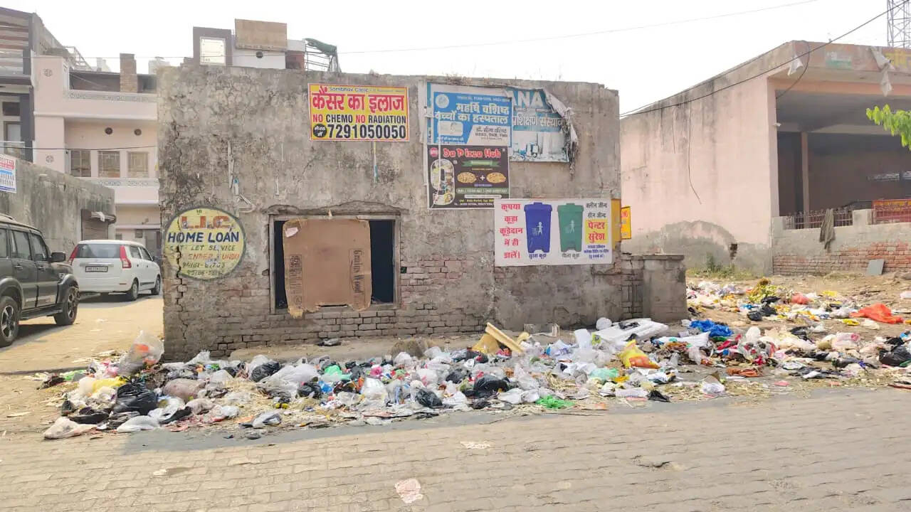 जींद : नगर परिषद सफाईकर्मियों की हडताल से हर जगह कचरा