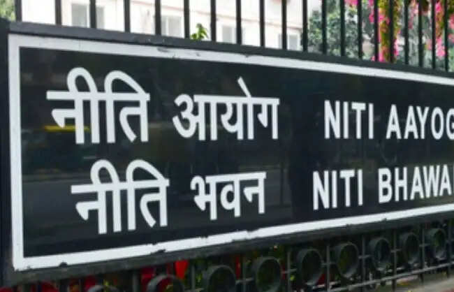 भारत को वैश्विक विनिर्माण केंद्र बनाने के लिए केंद्रित रणनीति की जरूरतः नीति आयोग