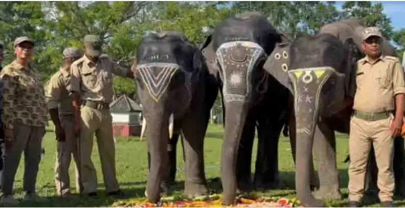 विश्व हाथी दिवस पर गोरुमारा में खास आयोजन, काटे गए फल केक