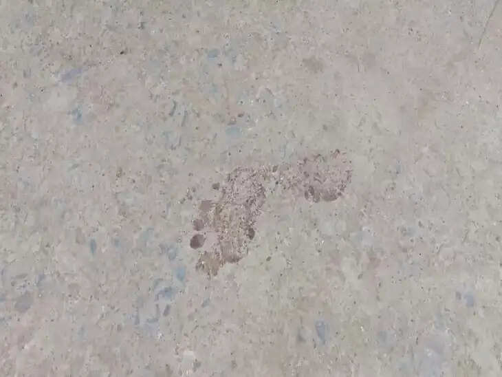 जांजगीर में बुजुर्ग दंपति की बेरहमी से हत्या, गला रेतकर उतारा मौत के घाट, सोने का हार गायब