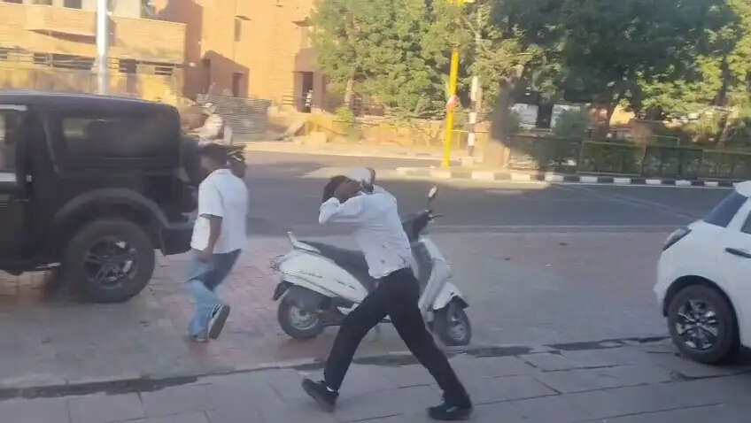 दो दिन से मधुमक्खियों का आतंक, कई लोगों को काटा