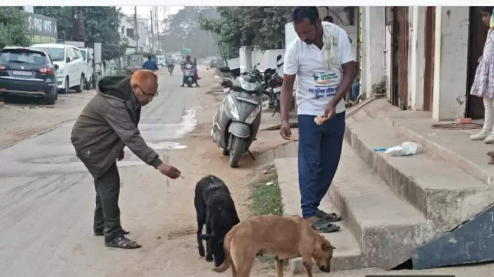 नपा कुरुद में 25 आवारा कुत्तों का किया गया टीकाकरण