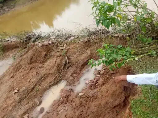 अनूपपुर में हाथियों ने तोड़ा 50 साल पुराना बांध, तेज बहाव में खेतों की मेढ़ें बहीं