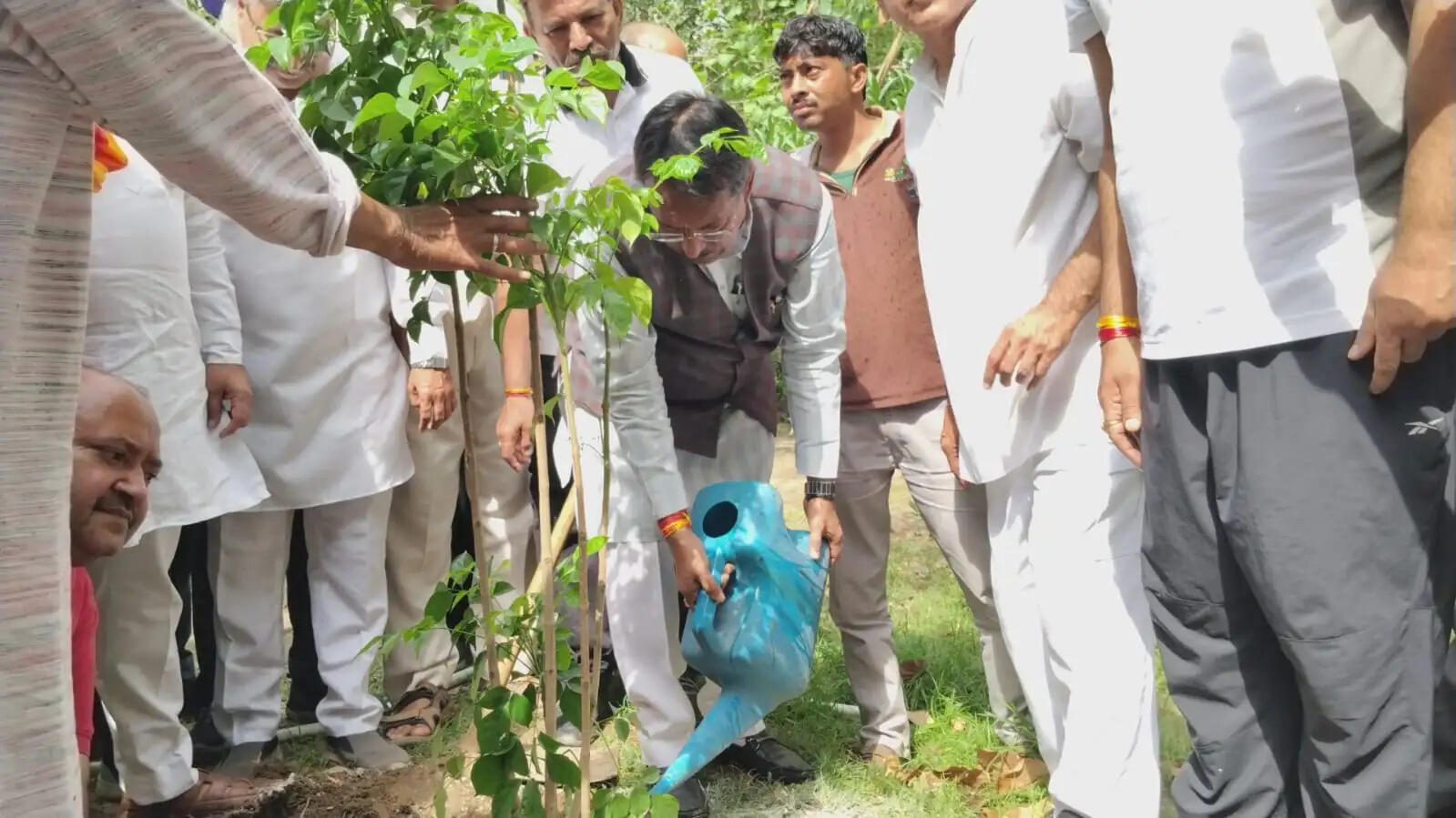 विश्व पर्यावरण दिवस पर भाजपा ने 256 मंडलों में आयोजित किए एक पेड़ मां के नाम कार्यक्रम