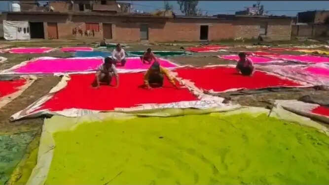 संभल में तैयार हर्बल गुलाल चेहरे के लिए सुरक्षित और पर्यावरण मित्र होली की बेहतर पहल