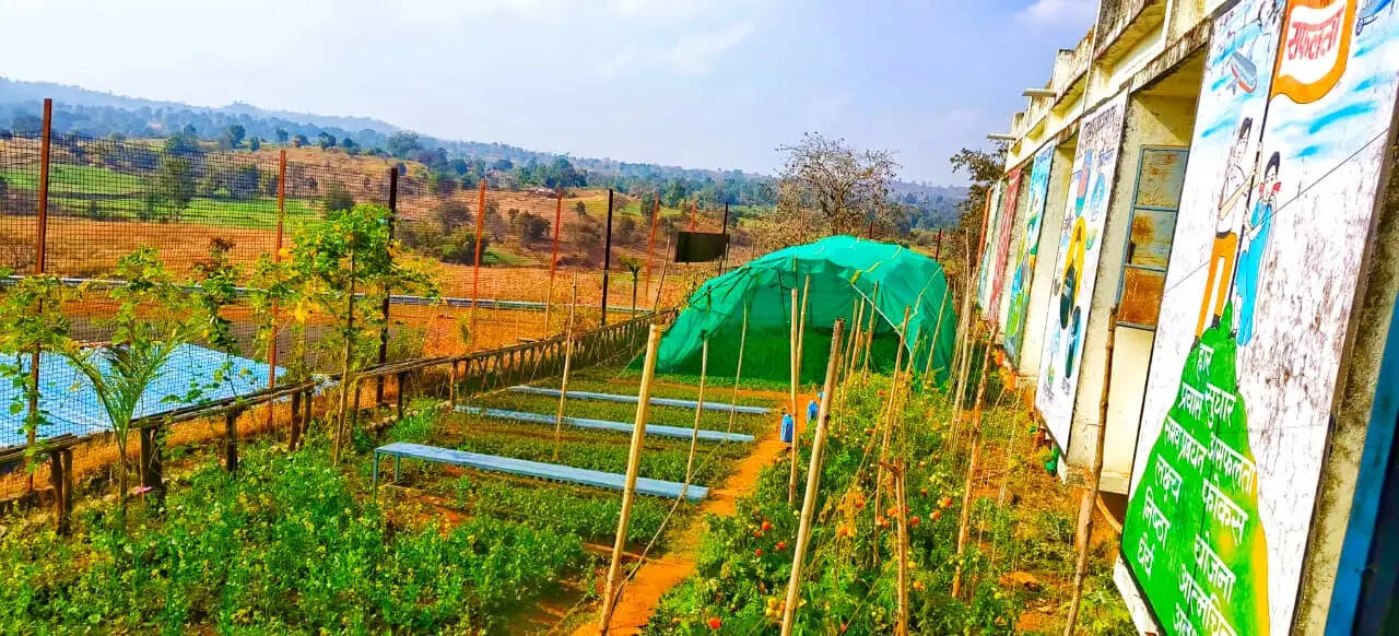 छिंदवाड़ाः पीएम श्री उच्चतर माध्यमिक विद्यालय जैतपुर में व्यावसायिक शिक्षा पाठ्यक्रम में हो रही जैविक खेती