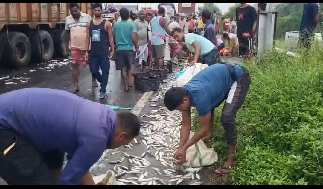 ट्रक से टकराया मछली लदा पिकअप वैन, बिखरी मछलियां लूटने उमड़ी भीड़