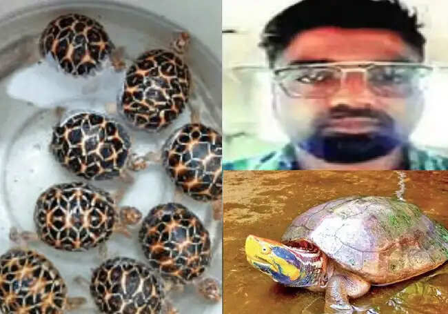 मप्र एसटीएएफ को बड़ी सफलता, अंतरराष्ट्रीय कछुआ तस्कर मुरुगेसन की जमानत याचिका खारिज