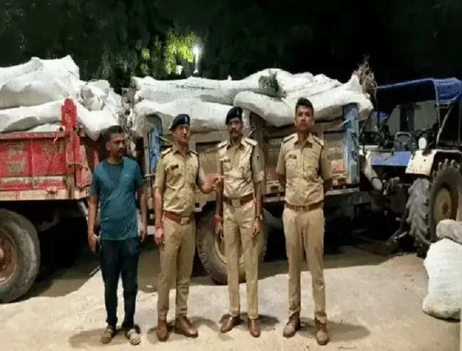 मप्र के धार जिले में लहलहा रही थी गांजे की खेती, 25 करोड़ रुपये के 6700 किलो पौधे जब्त, 4 गिरफ्तार