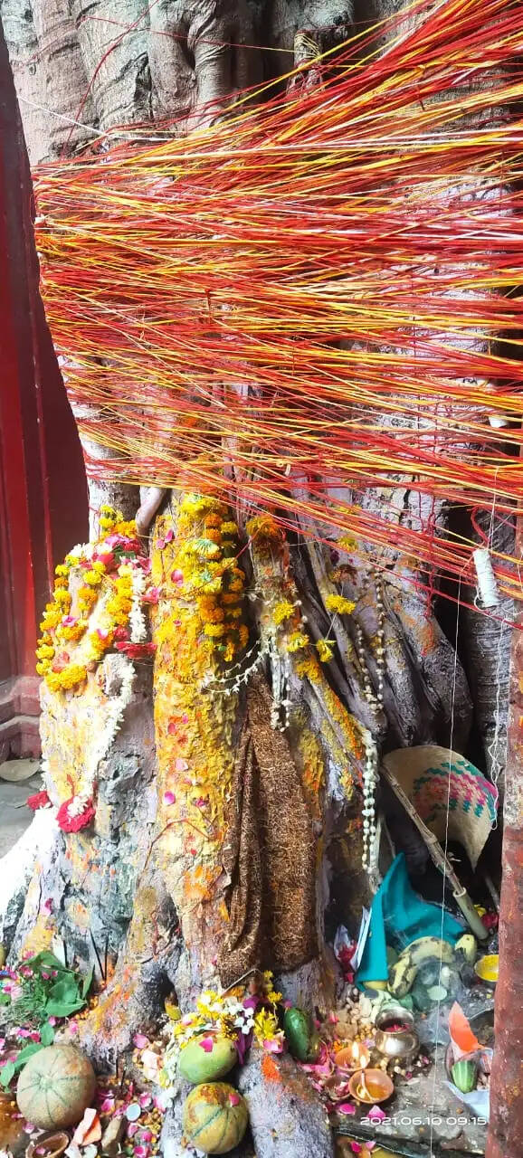 इस बार शनि जयंती के साथ सौभाग्य और शोभन योग में वट सावित्री व्रत रखेंगी सुहागिन महिलाएं