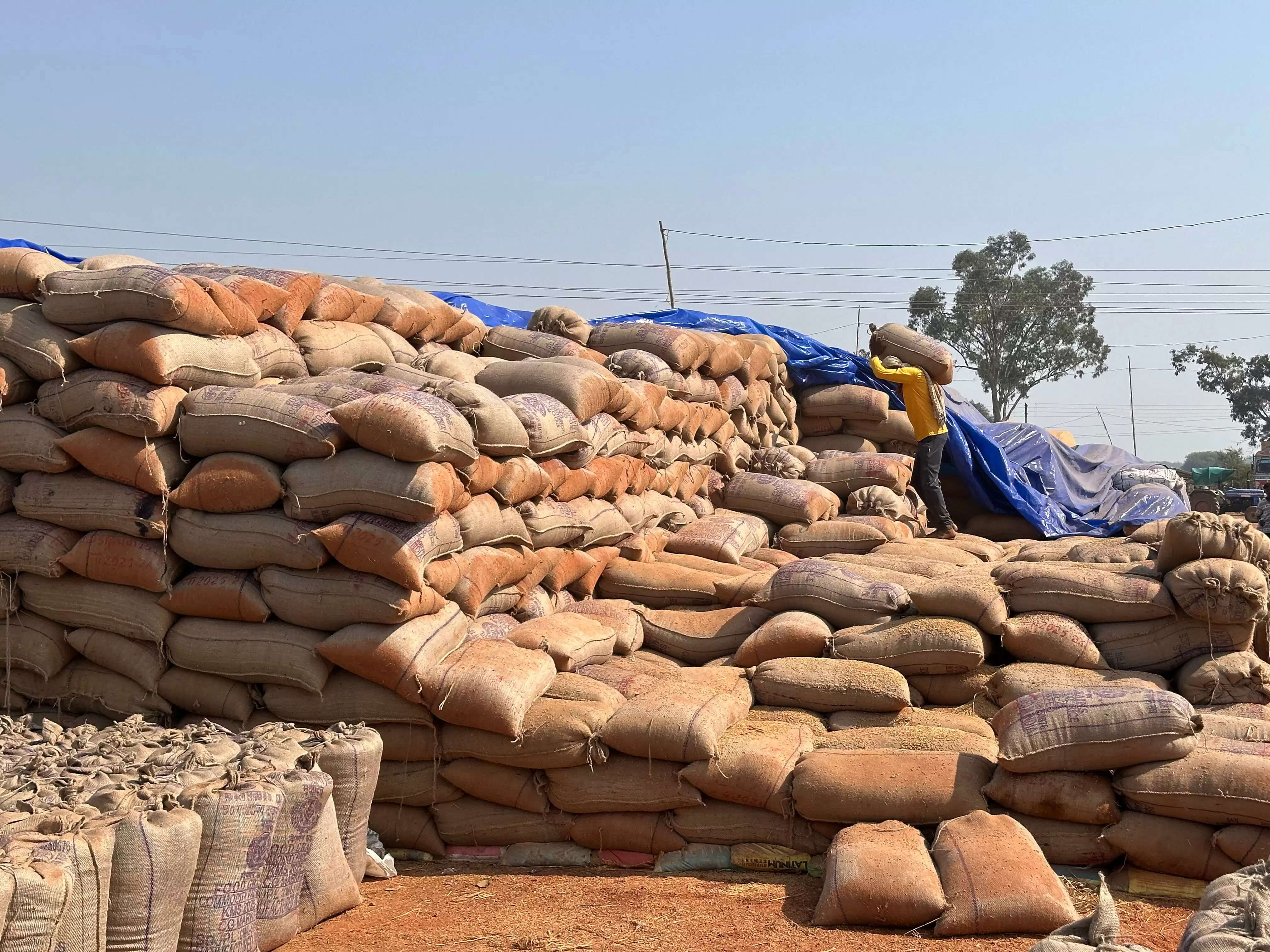 किसानों को समयबद्ध भुगतान, सुचारू व्यवस्था से बढ़ा भरोसा